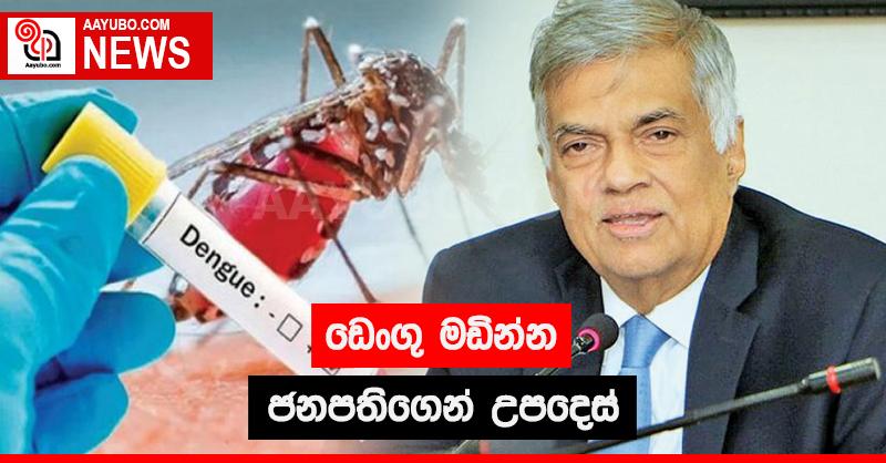 ඩෙංගු මඩින්න ජනපතිගෙන් උපදෙස්