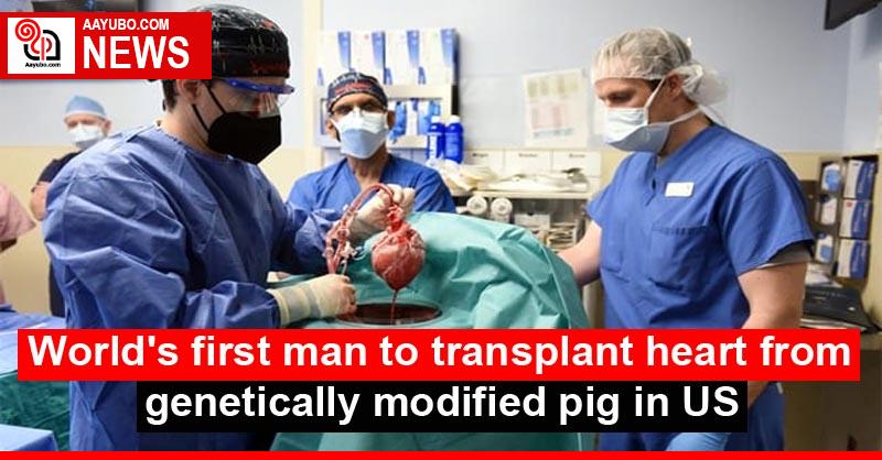 World's first man to transplant heart from genetically modified pig in US