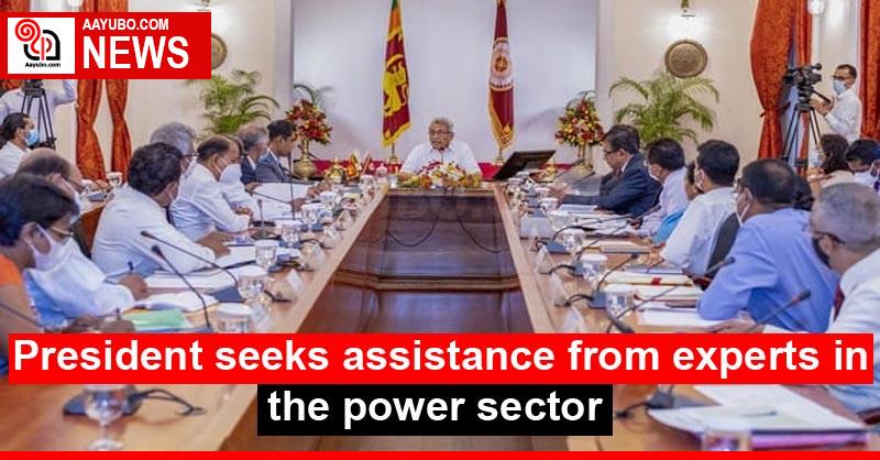 President seeks assistance from experts in the power sector