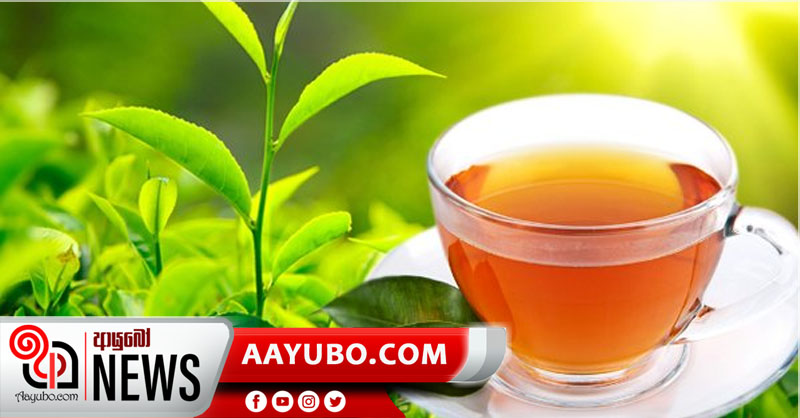 Ceylon Tea සඳහා ඉහළ ඉල්ලුමක් සහ වාර්තාගත මිලක්