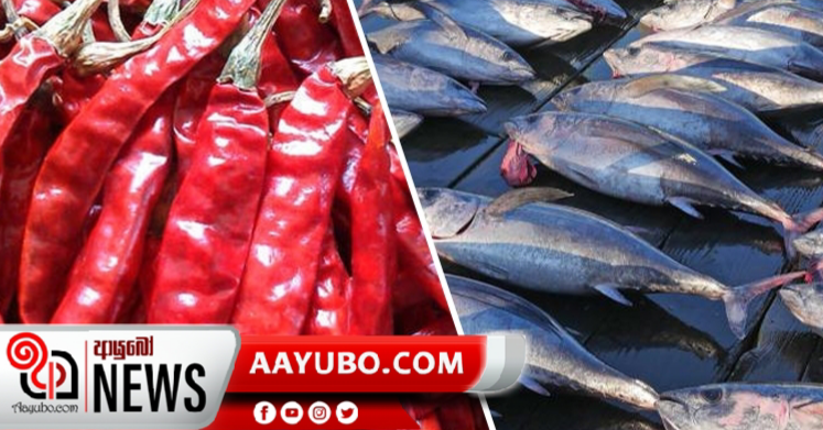 ආනයන මාළු සහ වියළි මිරිස් සඳහා බදු අඩු කෙරේ 
