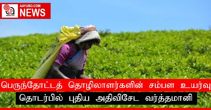 பெருந்தோட்டத் தொழிலாளர்களின் சம்பள உயர்வு தொடர்பில் புதிய அதிவிசேட வர்த்தமானி