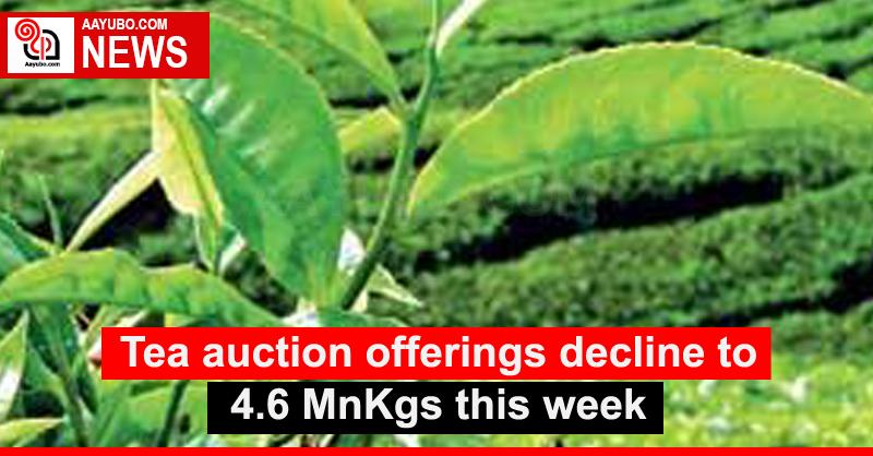 Tea auction offerings decline to 4.6 MnKgs this week