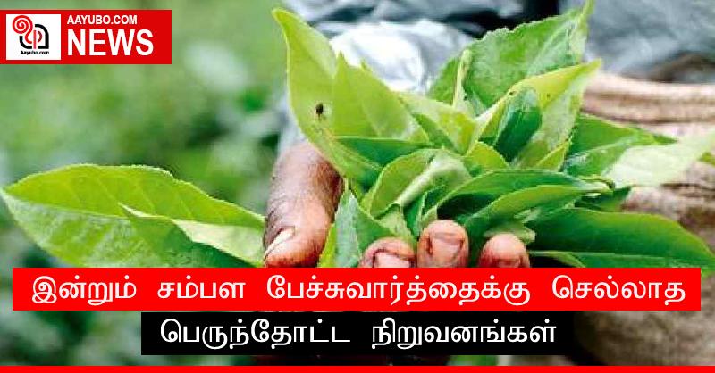 இன்றும் சம்பள பேச்சுவார்த்தைக்கு செல்லாத பெருந்தோட்ட நிறுவனங்கள்