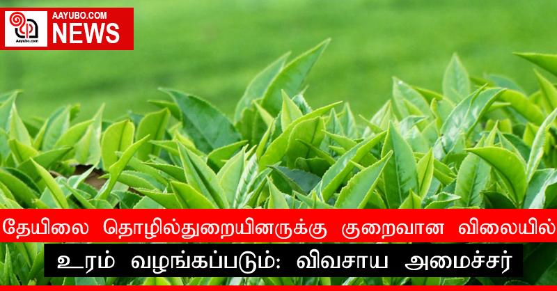 தேயிலை தொழில்துறையினருக்கு குறைவான விலையில் உரம் வழங்கப்படும்: விவசாய அமைச்சர்