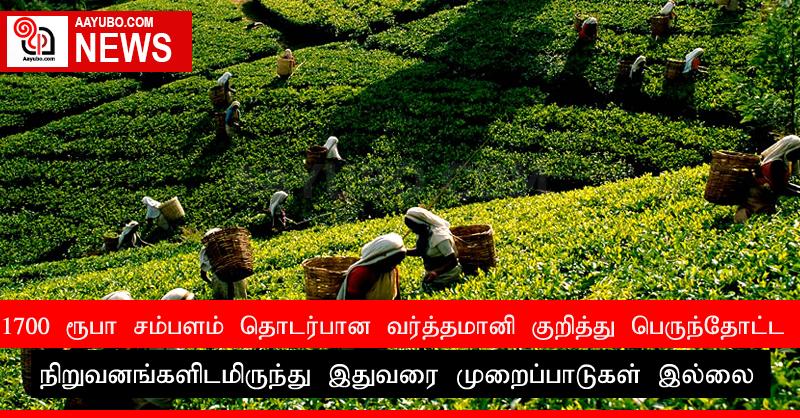 1700 ரூபா சம்பளம் தொடர்பான வர்த்தமானி குறித்து பெருந்தோட்ட நிறுவனங்களிடமிருந்து இதுவரை முறைப்பாடுகள் இல்லை