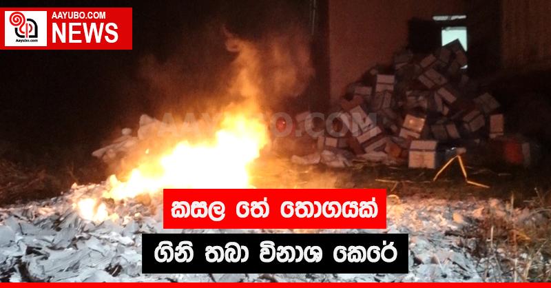 කසල තේ තොගයක් ගිනි තබා විනාශ කෙරේ