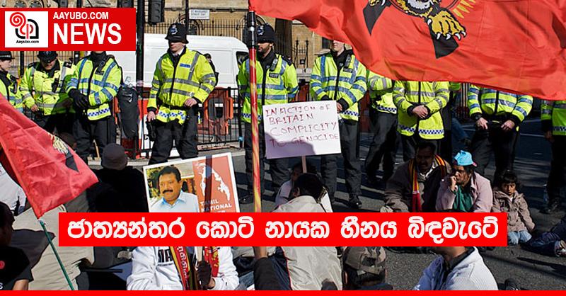 ජාත්‍යන්තර කොටි නායක හීනය බිඳවැටේ