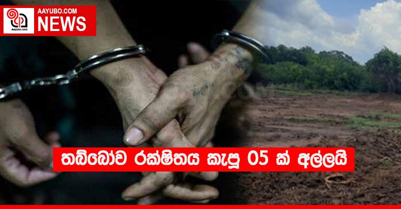 තබ්බෝව රක්ෂිතය කැපූ 05 ක් අල්ලයි