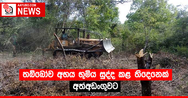 තබ්බෝව අභය භූමිය සුද්ද කළ තිදෙනෙක් අත්අඩංගුවට