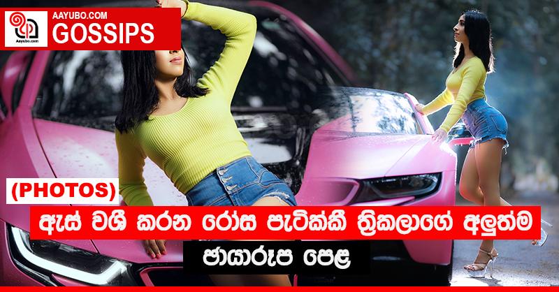 ඇස් වශී කරන රෝස පැටික්කී ත්‍රිකලාගේ අලුත්ම ඡායාරූප පෙළ (PHOTOS)