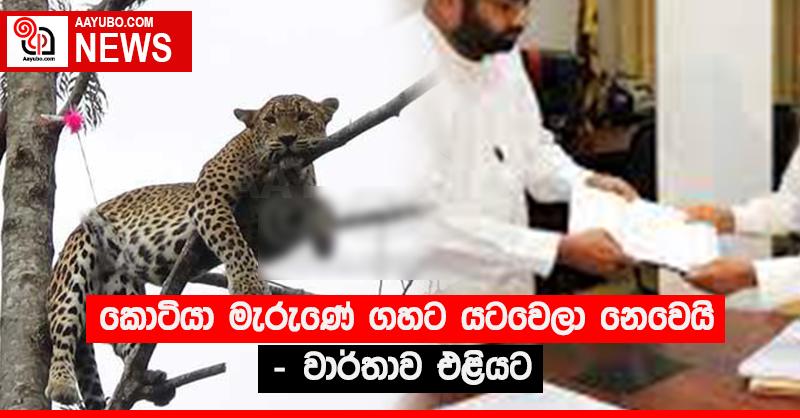 කොටියා මැරුණේ ගහට යටවෙලා නෙවෙයි - වාර්තාව එළියට