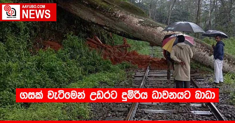 ගසක් වැටීමෙන් උඩරට දුම්රිය ධාවනයට බාධා