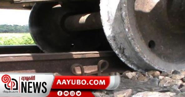 මීනගයා අවුකන දී පීලි පනී