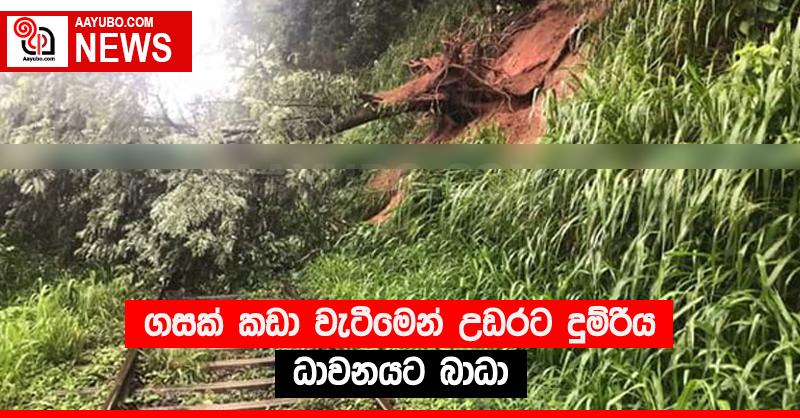 ගසක් කඩා වැටීමෙන් උඩරට දුම්රිය ධාවනයට බාධා