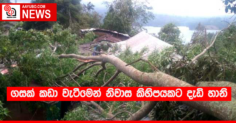 ගසක් කඩා වැටීමෙන් නිවාස කිහිපයකට දැඩි හානි