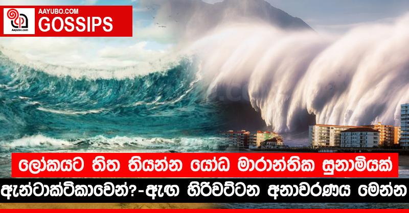 ලෝකයට තිත තියන්න යෝධ මාරාන්තික සුනාමියක් ඇන්ටාක්ටිකාවෙන්? -  ඇඟ හිරිවට්ටන අනාවරණය මෙන්න