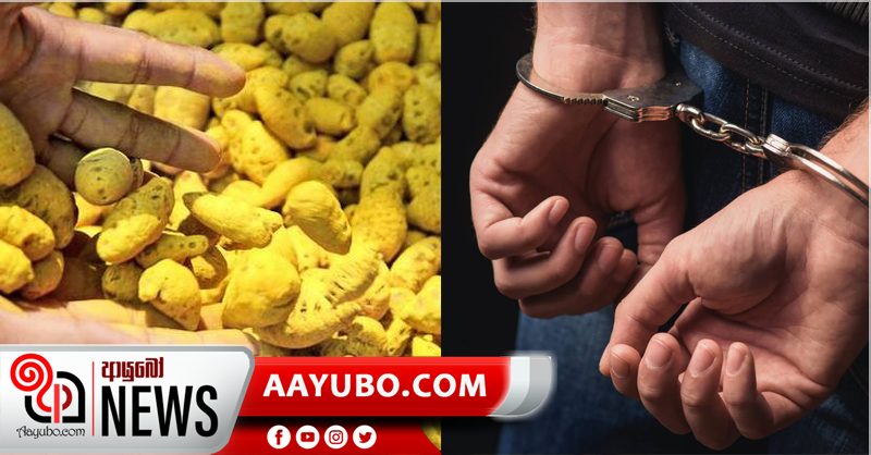 රේගුවෙන් කහ පන්නන්න උදව් කල  රේගු නිලධාරීන් දෙදෙනෙක් අත්අඩංගුවට