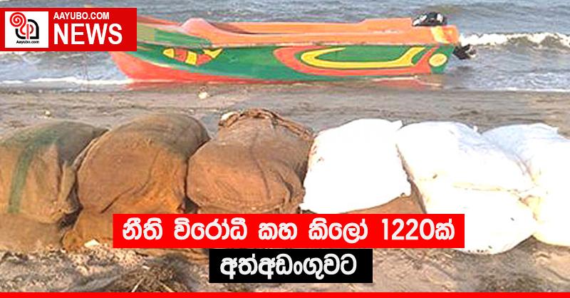 නීති විරෝධී කහ කිලෝ 1220ක් අත්අඩංගුවට