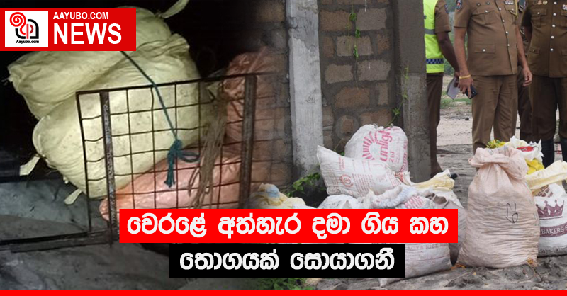 වෙරළේ අත්හැර දමා ගිය කහ තොගයක් සොයාගනී