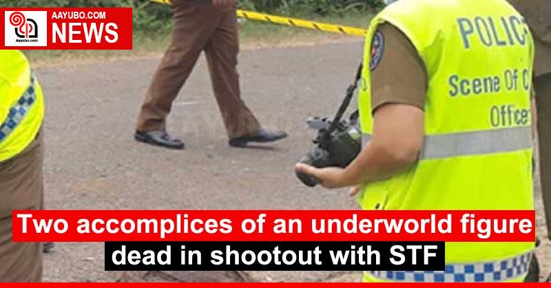 Two accomplices of an underworld figure dead in shootout with STF