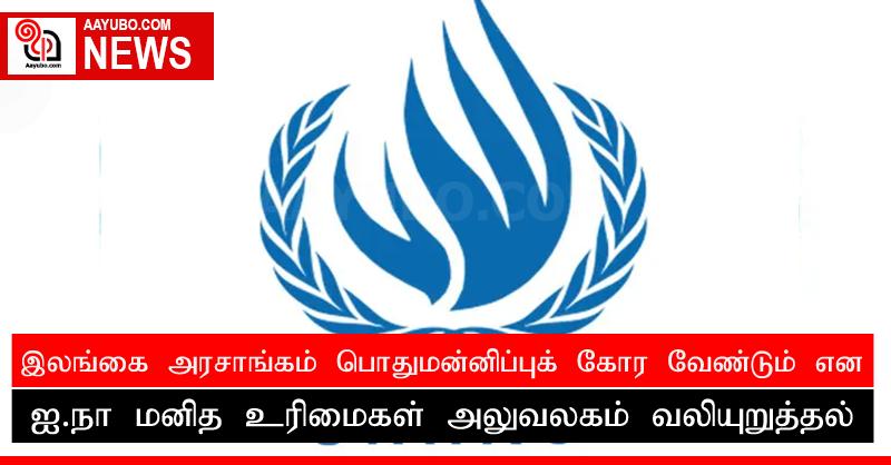 இலங்கை அரசாங்கம் பொதுமன்னிப்புக் கோர வேண்டும் என ஐ.நா மனித உரிமைகள் அலுவலகம் வலியுறுத்தல்