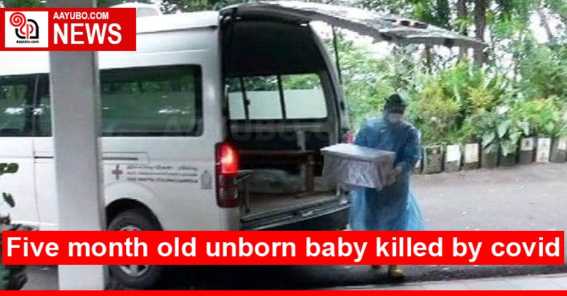 Five month old unborn baby killed by covid