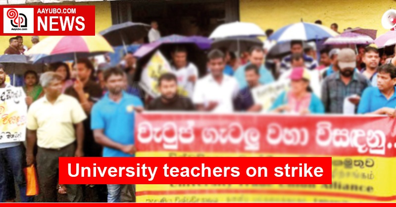 University teachers on strike