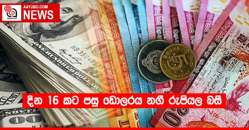 දින 16 කට පසු ඩොලරය නගී රුපියල බසී