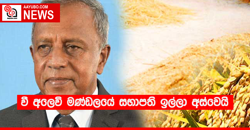 වී අලෙවි මණ්ඩලයේ සභාපති ඉල්ලා අස්වෙයි