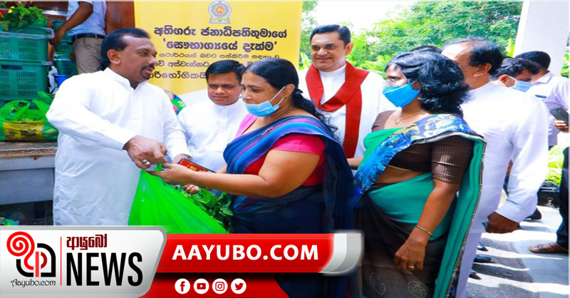 රු700ක් වටිනා එළවළු මල්ලක් රු350ක සහන මිලකට ගන්න පුළුවන් තැන් මෙන්න