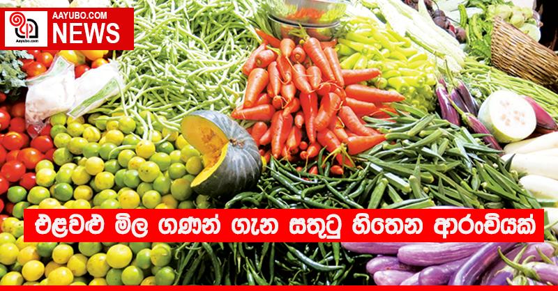 එළවළු මිල ගණන් ගැන සතුටු හිතෙන ආරංචියක්