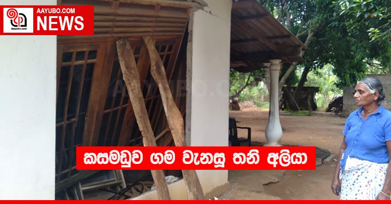 කසමඩුව ගම වැනසූ තනි අලියා