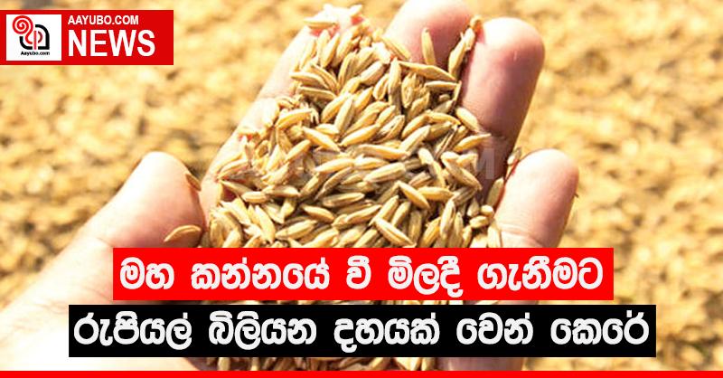 මහ කන්නයේ වී මිලදී ගැනීමට බිලියන දහයක් වෙන් කෙරේ