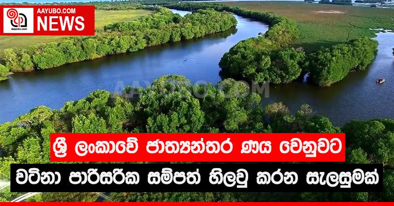 අපේ පාරිසරික සම්පත් ජාත්‍යන්තර ණය වෙනුවෙන් හිලවු කරන සැලසුමක්
