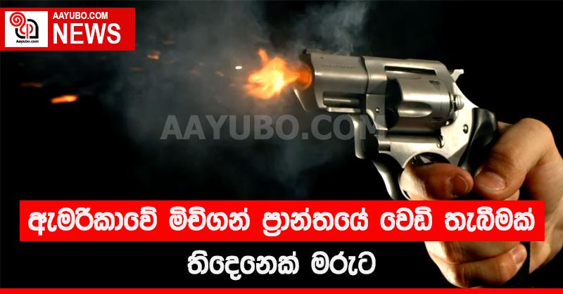 ඇමරිකාවේ මිචිගන් ප්‍රාන්තයේ වෙඩි වැදීමකින් තිදෙනෙක් මරුට