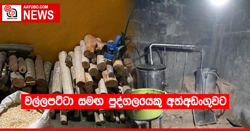 වල්ලපට්ටා සමඟ පුද්ගලයෙකු අත්අඩංගුවට