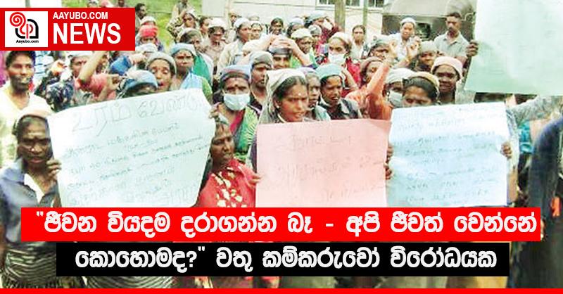 “ජීවන වියදම දරාගන්න බෑ - අපි ජීවත් වෙන්නේ කොහොමද?” වතු කම්කරුවෝ විරෝධයක