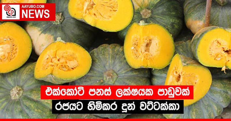 එක්කෝටි පනස් ලක්ෂයක පාඩුවක් රජයට හිමිකර දුන් වට්ටක්කා