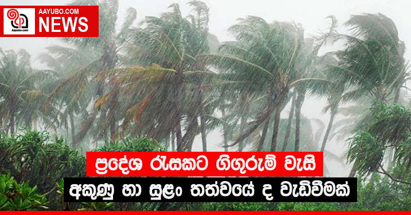 ප්‍රදේශ රැසකට ගිගුරුම් වැසි - අකුණු හා සුළං තත්වයේ ද වැඩිවීමක්