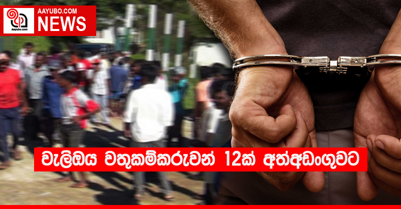 වැලිඔය වතුකම්කරුවන් 12ක් අත්අඩංගුවට 