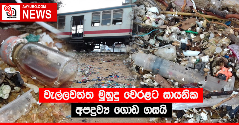 වැල්ලවත්ත මුහුදු වෙරළට සායනික අපද්‍රව්‍ය ගොඩ ගසයි