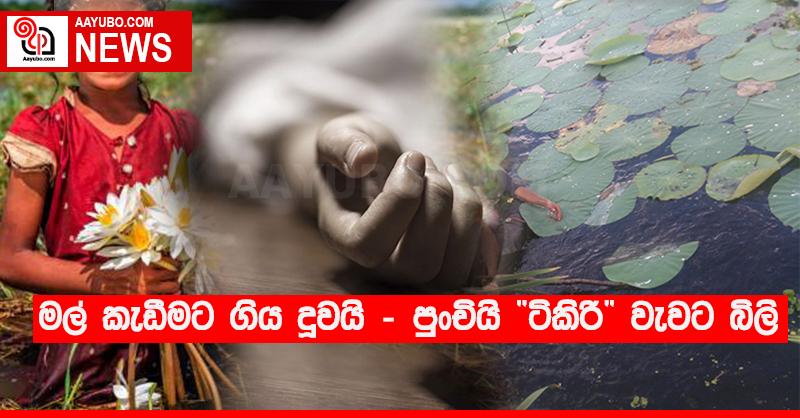  මල් කැඩිමට ගිය දුවයි - පුංචියි “ටිකිරි”වැවට බිලි