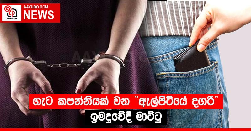 ගැට කපන්නියක් වන “ඇල්පිටියේ දගරි” ඉමදූවේදී මාට්ටු