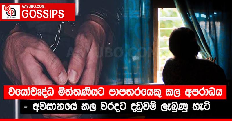 වයෝවෘද්ධ මිත්තණියට පාපතරයෙකු කල අපරාධය - අවසානයේ කල වරදට දඩුවම් ලැබුණු හැටි