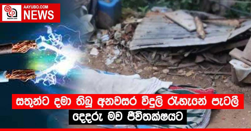 සතුන්ට දමා තිබූ අනවසර විදුලි රැහැනේ පැටලී දෙදරු මව ජීවිතක්‍ෂයට