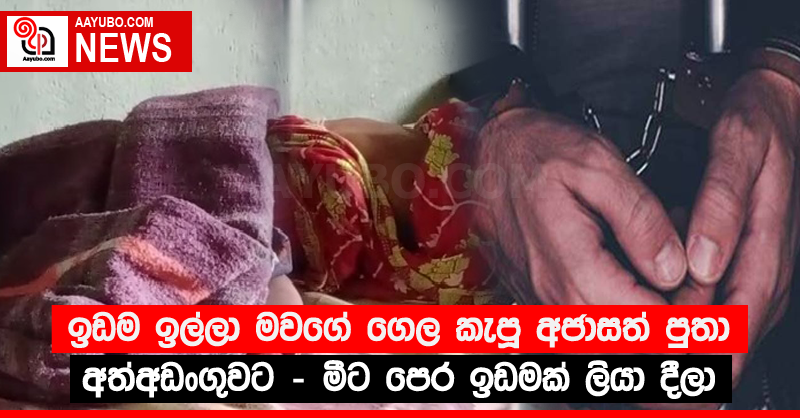 ඉඩම ඉල්ලා මවගේ ගෙල කැපූ අජාසත් පුතා අත්අඩංගුවට - මීට පෙර ඉඩමක් ලියා දීලා