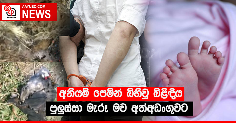 අනියම් පෙමින් බිහිවූ බිළිඳිය පුලුස්සා මැරූ මව අත්අඩංගුවට