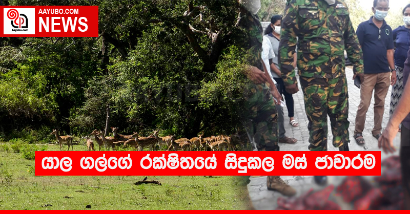 යාල ගල්ගේ රක්ෂිතයේ සිදුකල මස් ජාවාරම