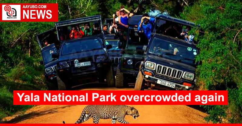 Yala National Park overcrowded again